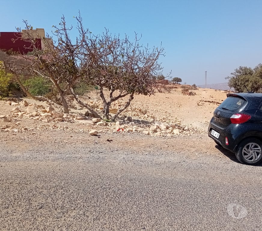 Terrain à vendre Maroc - Photos Vivastreet Terrain Agadir 1020m2