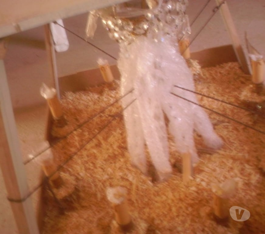 Décoration - art Rhône St Vincent de Reins - 69240 - Photos Vivastreet lustre en strass de bohème