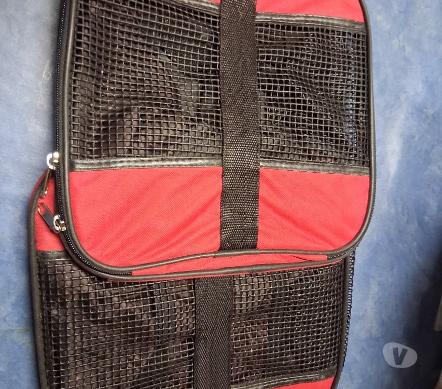 Services, accessoires animaux Ille-et-Vilaine St Pierre de Plesguen - 35720 - Photos Vivastreet Sac de transport neuf pour petit chien ou chat