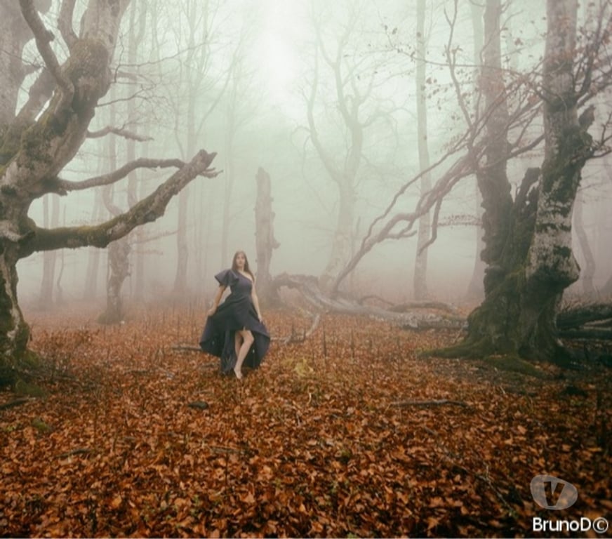 Castings, modèles, photographes Drôme Valence - 26000 - Photos Vivastreet Collaboration Photos Odyssée humaine