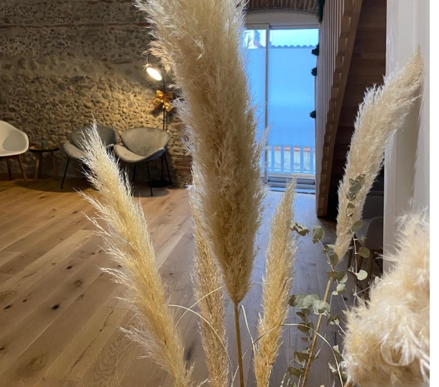 Massages Pyrénées-Orientales Millas - 66170 - Photos Vivastreet Massages & Soins esthétiques