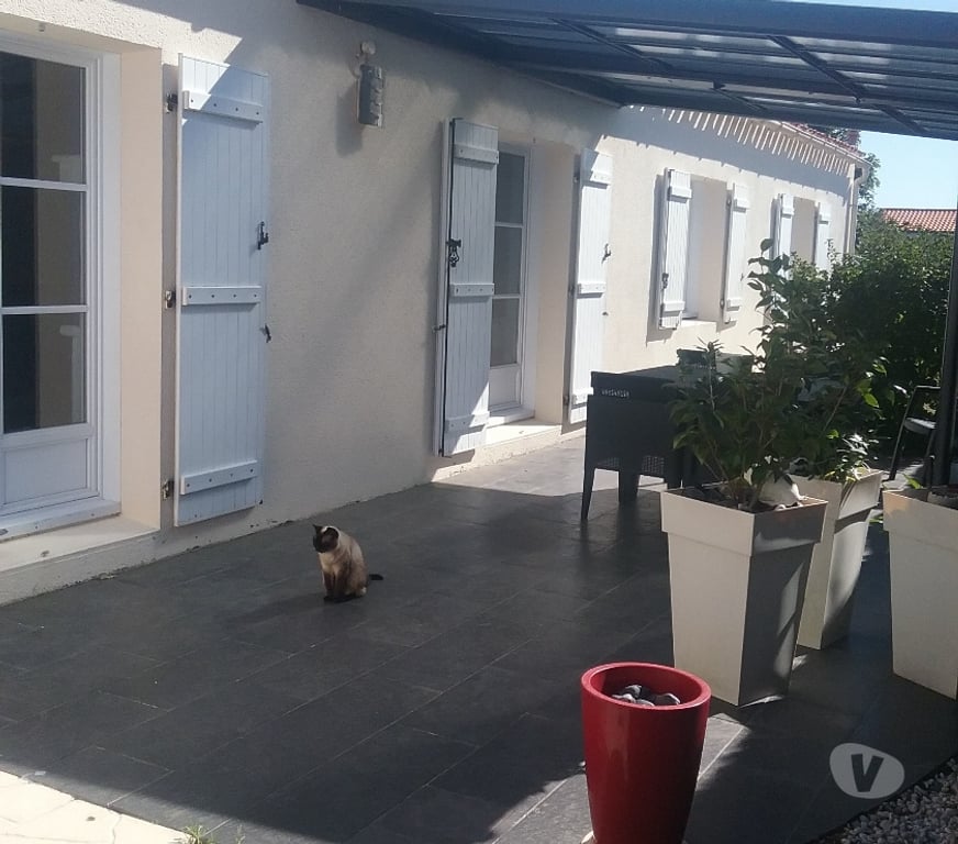 Vente Maison Vendée Ste Foy - 85150 - Photos Vivastreet Maison de PLAIN-PIED avec piscine