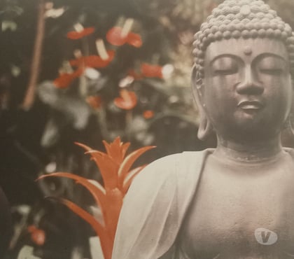 Massage Toulouse Toulouse - Photos Vivastreet Relaxation bien être centre ville