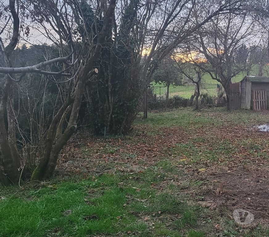 Vente Maison Puy-de-Dôme Domaize - 63520 - Photos Vivastreet Authentique maison en pierre à fort potentiel