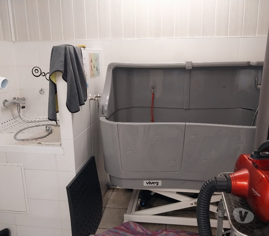 Fond de Commerce a vendre Gironde St Germain du Puch - 33750 - Photos Vivastreet Futur toiletteur ou toiletteur expérimenté