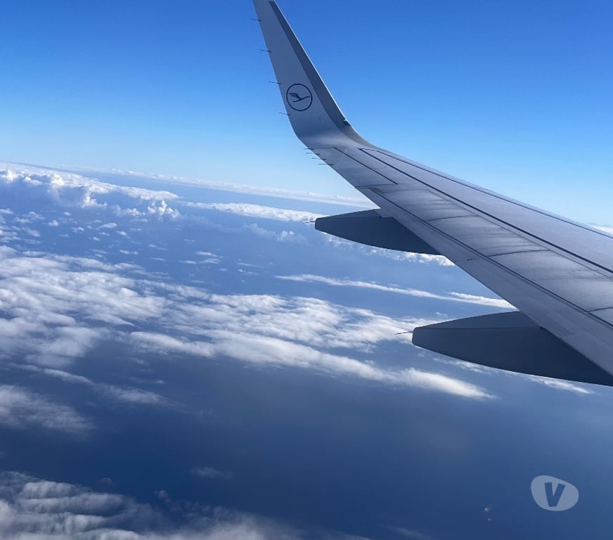 Services ménagers Alpes-Maritimes Cannes la Bocca - 06150 - Photos Vivastreet Aide à domicile aide ménager