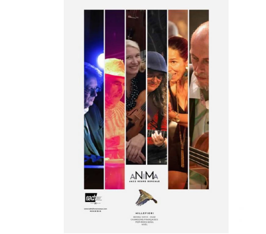 Spectacles Seine-Maritime Le Petit Quevilly - 76140 - Photos Vivastreet 2 places pour " Les Puces Rouennaises " du 16 au 18 janvier