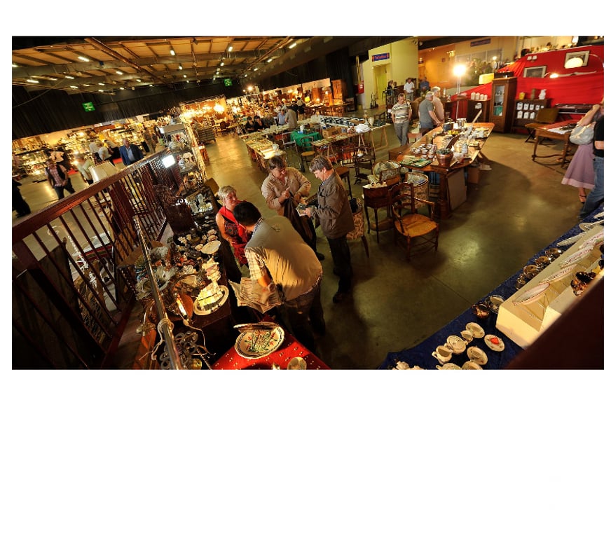 Spectacles Seine-Maritime Le Petit Quevilly - 76140 - Photos Vivastreet 2 places pour " Les Puces Rouennaises " du 16 au 18 janvier