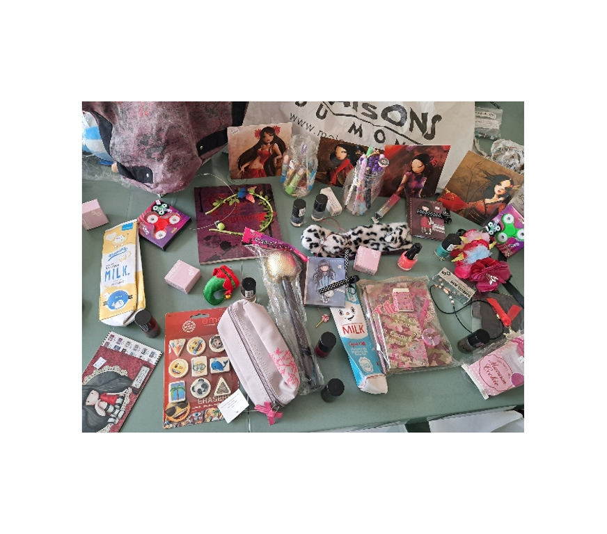 Collection Moselle Maizières-lès-Metz - 57280 - Photos Vivastreet Blind Lot n°3 Manga anime japon santoro mistigri kawaii mo