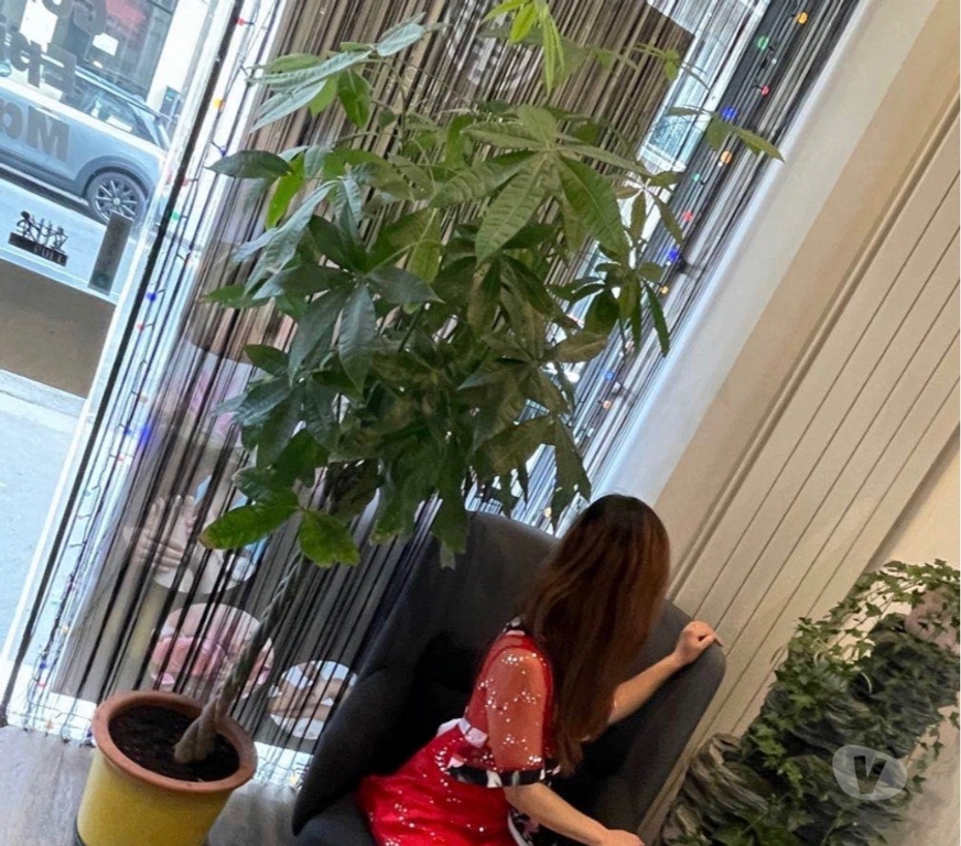 Massages Paris Paris 17ème ardt - 75017 - Photos Vivastreet Massage 75017 Paris Relaxant promo avant 15h