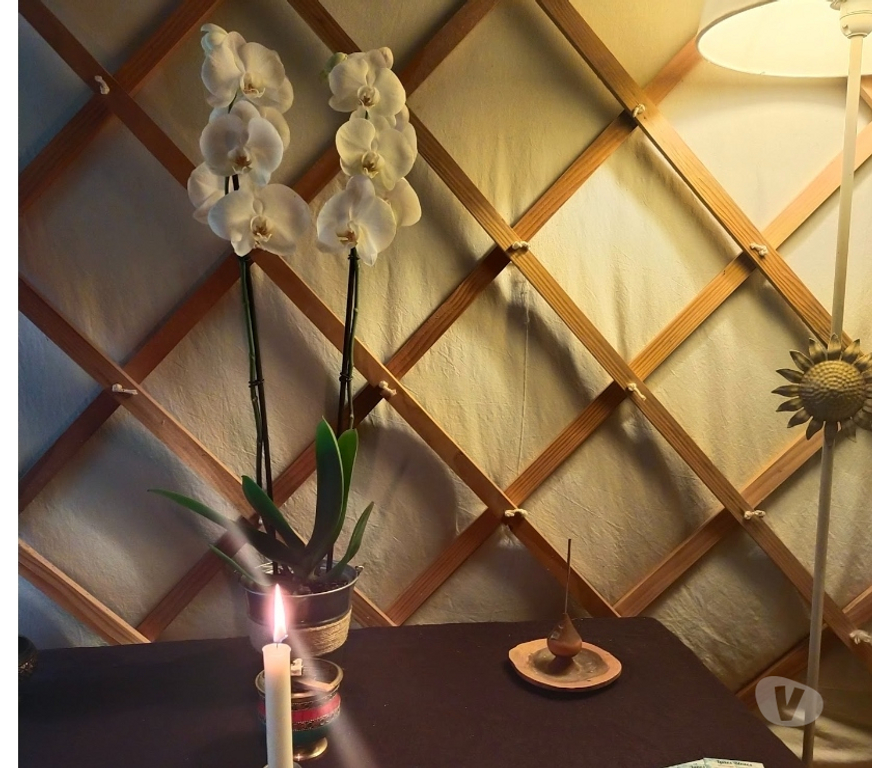 Massages Finistère Douarnenez - 29100 - Photos Vivastreet Massage tantrique - Une expérience sensorielle profonde