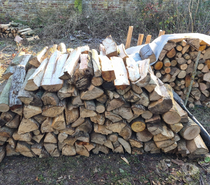 Bois de chauffage hêtre et merisier – 50 40 30 cm