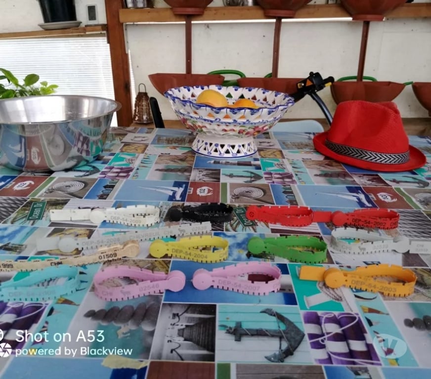 Matériel de sport Meurthe-et-Moselle Piennes - 54490 - Photos Vivastreet Divers plombs de pèche et autres différentes dimensions