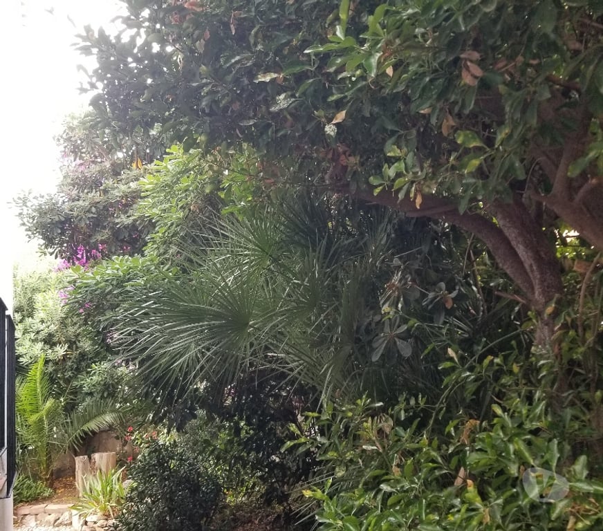 Appartements à vendre Espagne - Photos Vivastreet appartement 50m2 135000 Llança( costa brava)