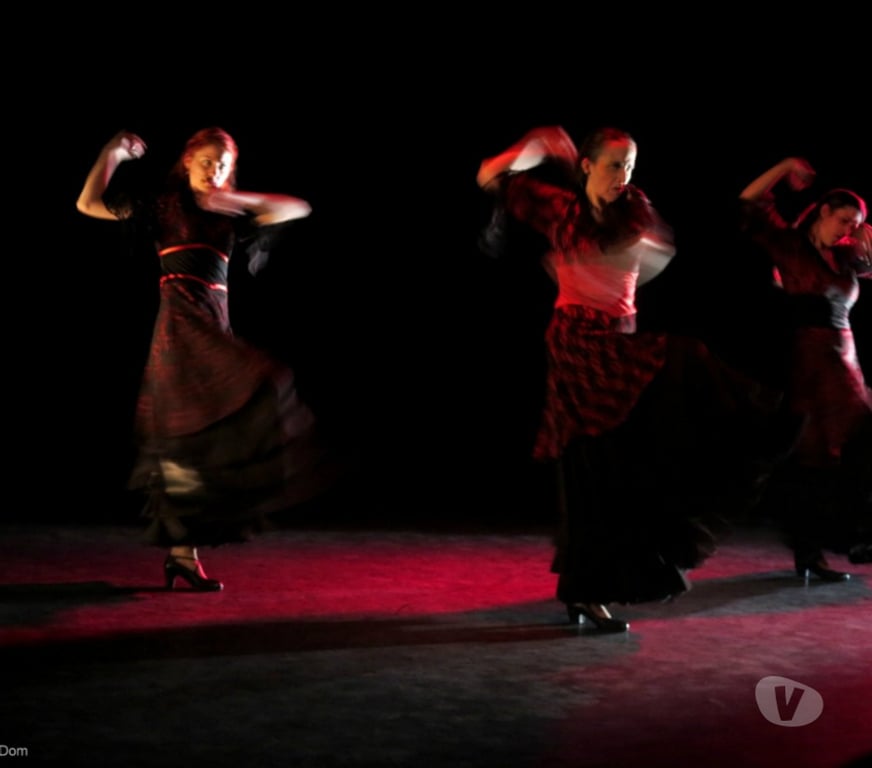 Concerts - Théâtre - Spectacles Doubs Besancon - 25000 - Photos Vivastreet De la Poussière et des Etoiles