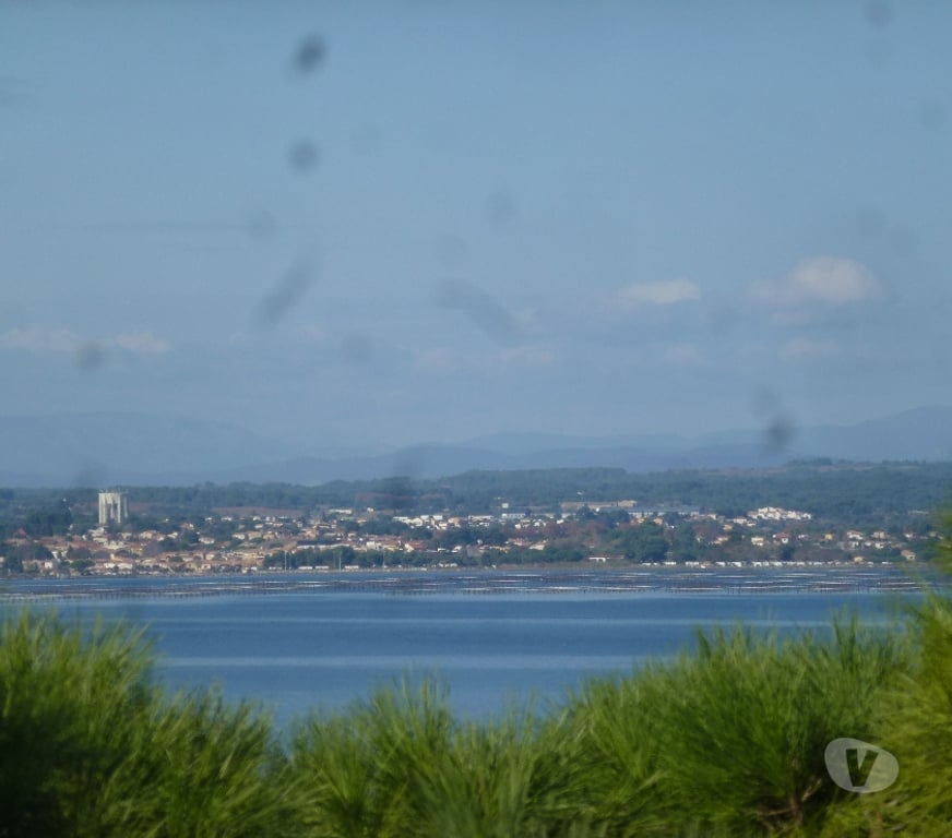 Appartements à vendre Hérault Sete - 34200 - Photos Vivastreet Appartement avec Vue Lagune Thau et ST Clair 56 m²