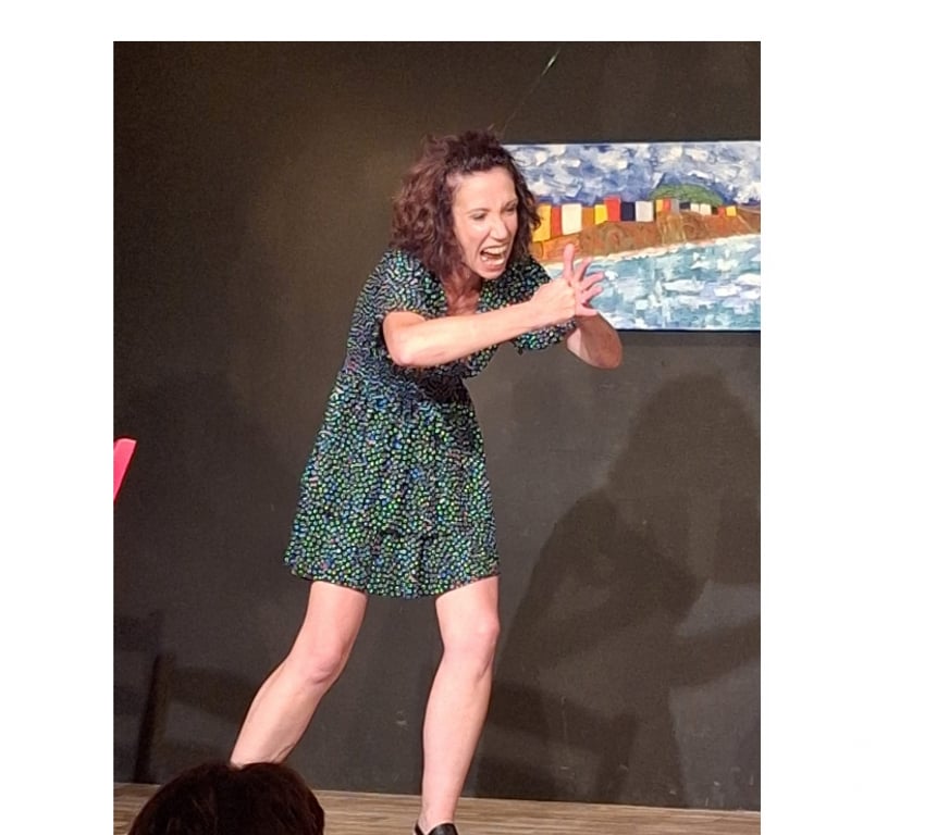 Concerts - Théâtre - Spectacles Pyrénées-Orientales Perpignan - Photos Vivastreet Projet Chamonix