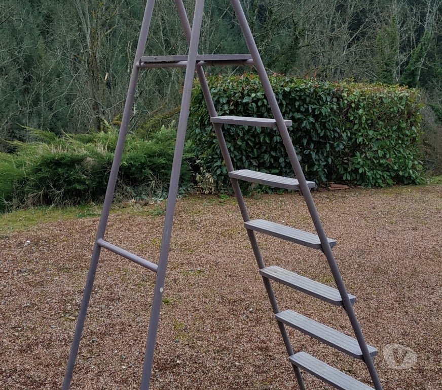  Rhône St Vincent de Reins - 69240 - Photos Vivastreet ESCABEAU 7 MARCHES