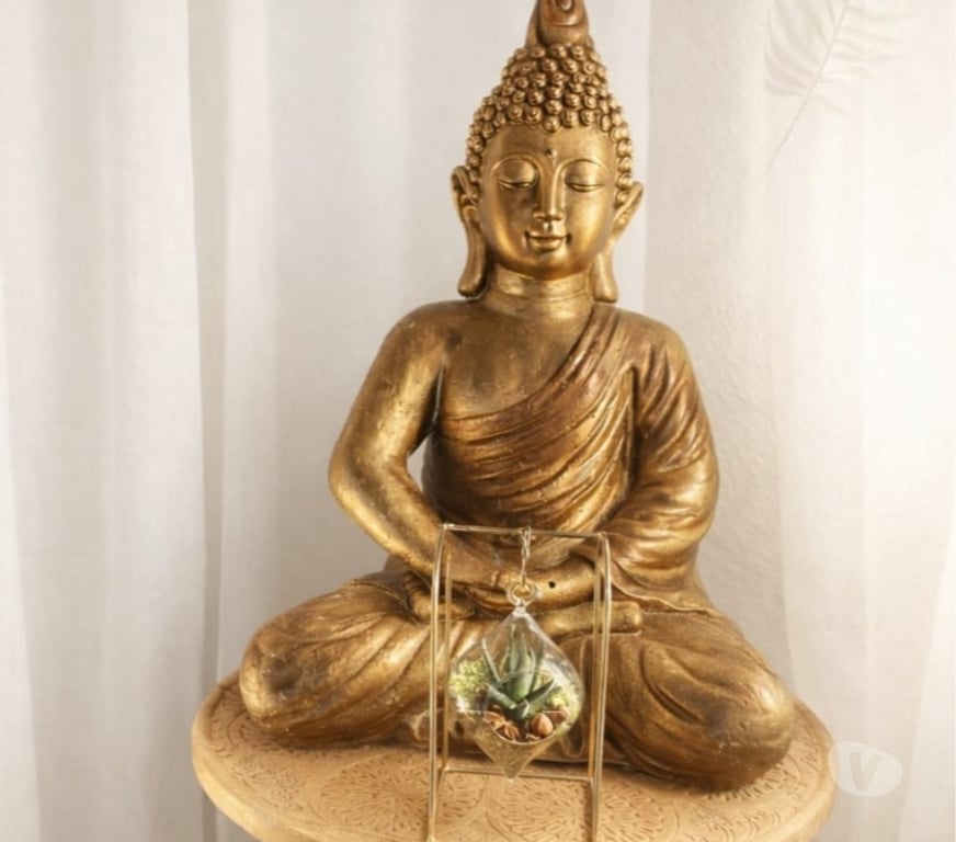 Massages Savoie Chambery - 73000 - Photos Vivastreet massage et magnétisme prof.certifiée