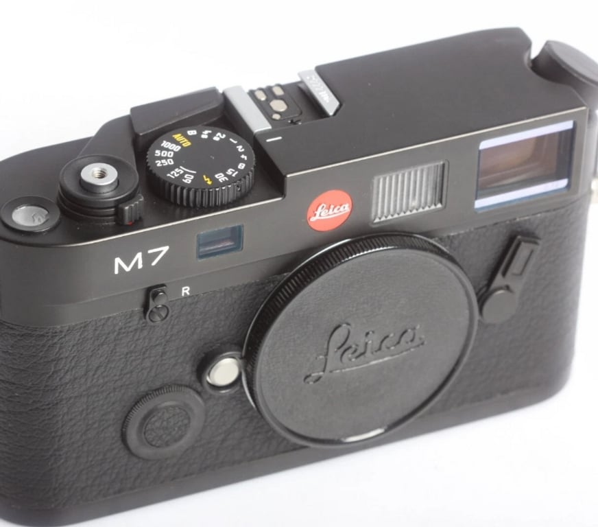 Photo - Video - Son Pyrénées-Orientales Baixas - 66390 - Photos Vivastreet Leica m7 noir + Elmarit 28mm 2,8 + Elmarit 90mm 2,8