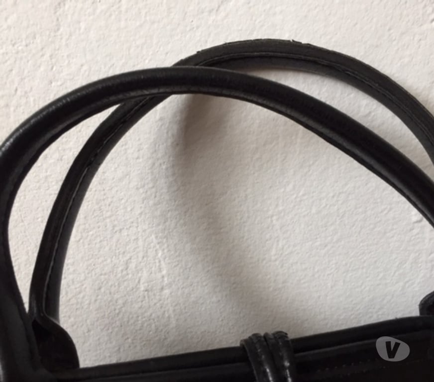 Accessoires - Bagagerie Vaucluse Vaison la Romaine - 84110 - Photos Vivastreet sac " roseau " longchamp