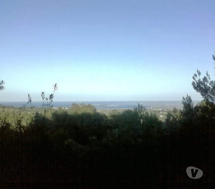 Terrain à vendre Espagne - Photos Vivastreet Maison a La mer avec olivier