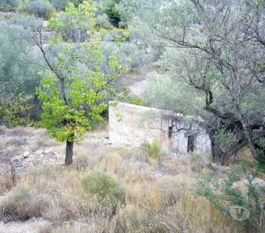 Terrain à vendre Espagne - Photos Vivastreet Maison a La mer avec olivier