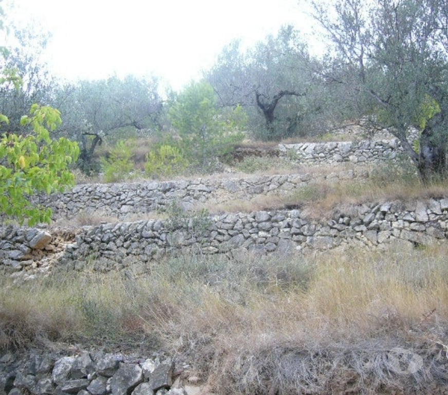 Terrain à vendre Espagne - Photos Vivastreet Maison a La mer avec olivier