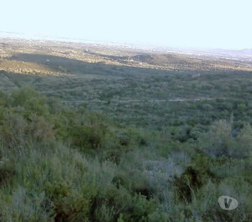 Terrain à vendre Espagne - Photos Vivastreet Maison a La mer avec olivier