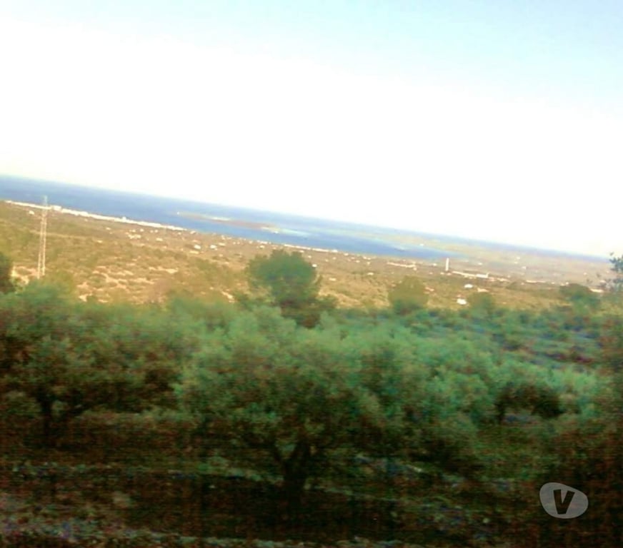 Terrain à vendre Espagne - Photos Vivastreet Maison a La mer avec olivier