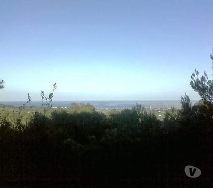 Vente Terrain - Photos Vivastreet Maison a La mer avec olivier