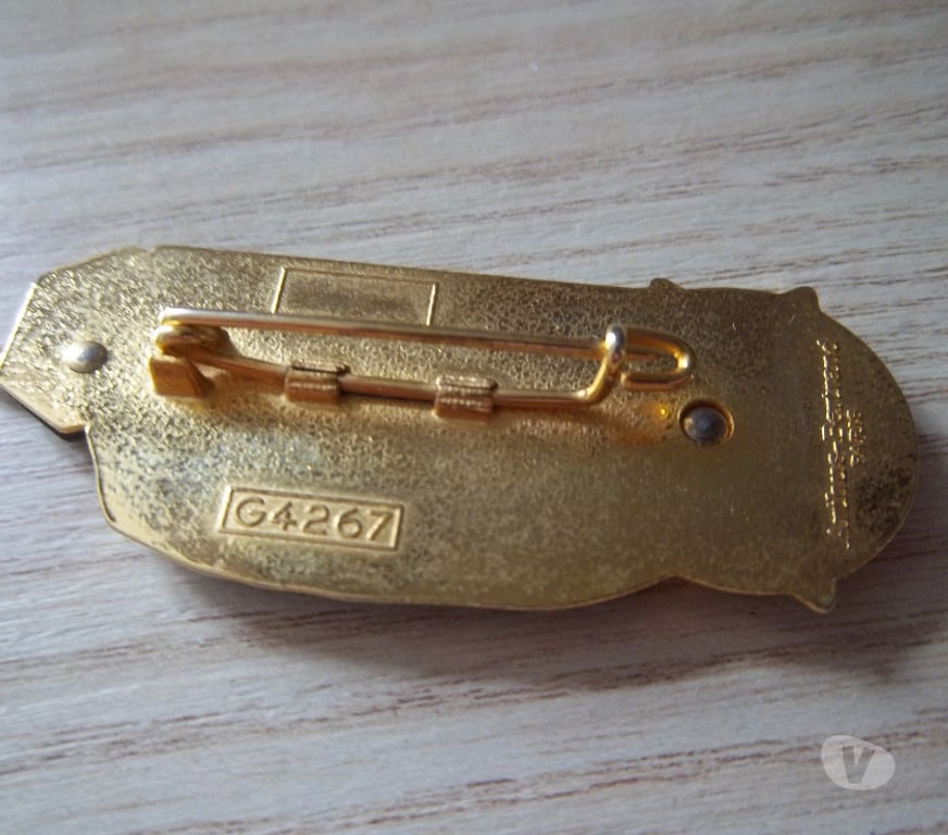 Collection Manche Valognes - 50700 - Photos Vivastreet insigne militaire promotion colonel ROUX Infanterie Afrique