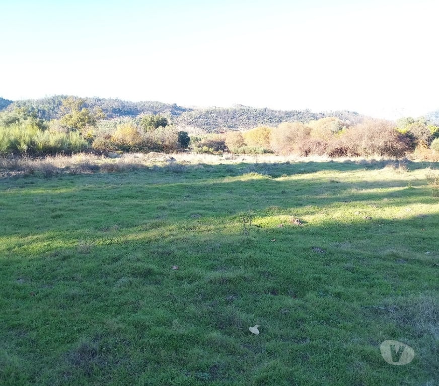 Terrain à vendre Portugal - Photos Vivastreet Terrain 1.3 Ha Avec Ruisseau Constructible - Zero Pesticides