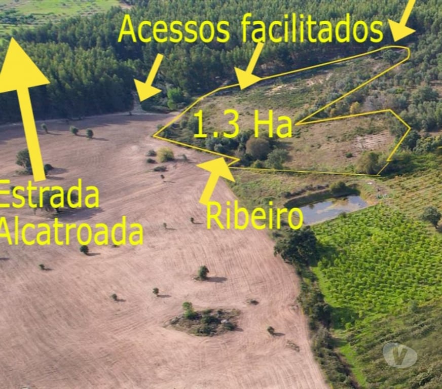 Terrain à vendre Portugal - Photos Vivastreet Terrain 1.3 Ha Avec Ruisseau Constructible - Zero Pesticides