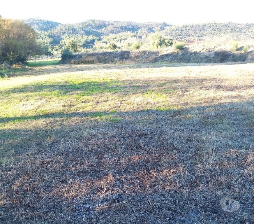 Terrain à vendre Portugal - Photos Vivastreet Terrain 1.3 Ha Avec Ruisseau Constructible - Zero Pesticides