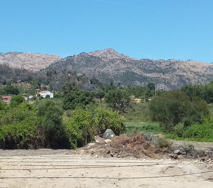 Terrain à vendre Portugal - Photos Vivastreet Terrain 1.3 Ha Avec Ruisseau Constructible - Zero Pesticides