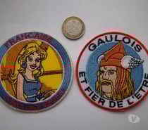 lot 2 écussons gaulois patriotique insigne collection