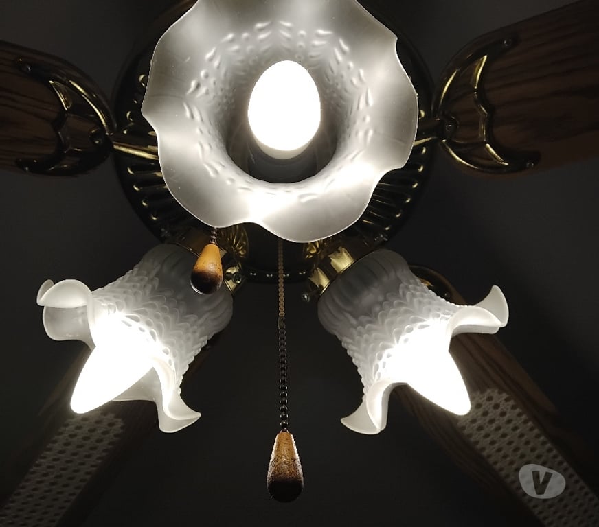 Décoration - art Pas-de-Calais Wingles - 62410 - Photos Vivastreet Ventilateur de plafond avec lampes