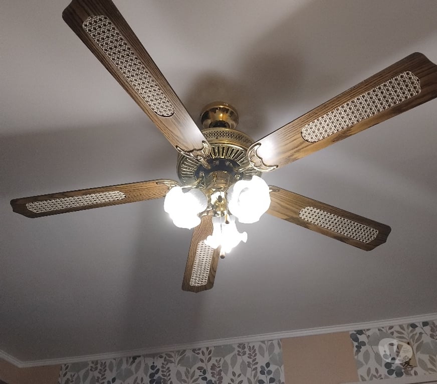 Décoration - art Pas-de-Calais Wingles - 62410 - Photos Vivastreet Ventilateur de plafond avec lampes