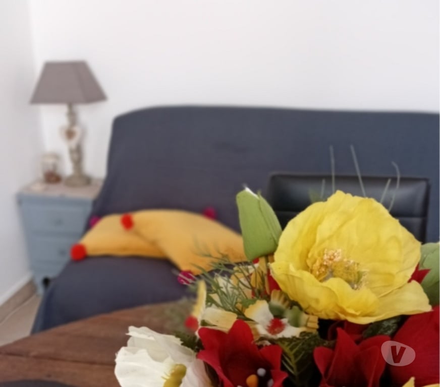 location saisonniere Vaucluse L'Isle sur la Sorgue - 84800 - Photos Vivastreet GITE DE CHARME, piscine, climatisé, Provence & Luberon