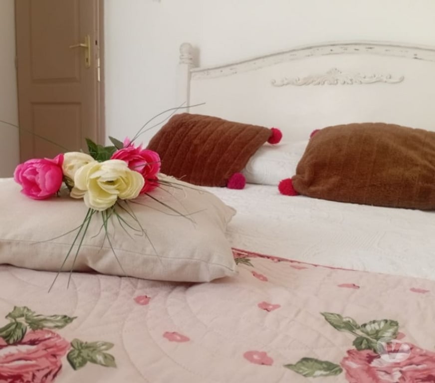 location saisonniere Vaucluse L'Isle sur la Sorgue - 84800 - Photos Vivastreet GITE DE CHARME, piscine, climatisé, Provence & Luberon