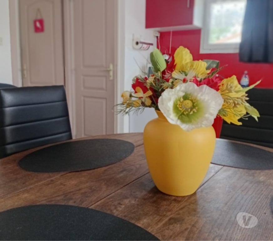 location saisonniere Vaucluse L'Isle sur la Sorgue - 84800 - Photos Vivastreet GITE DE CHARME, piscine, climatisé, Provence & Luberon