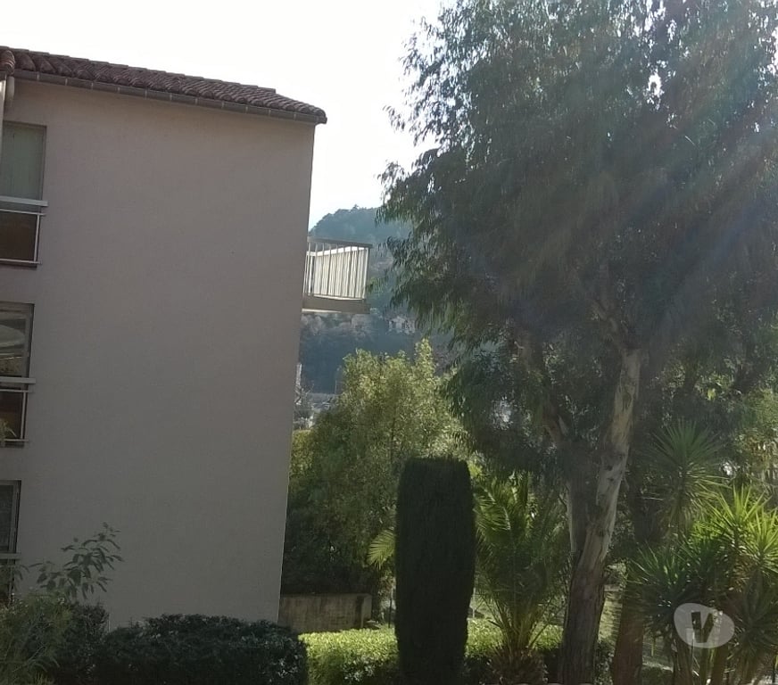 location saisonniere Pyrénées-Orientales Amelie les Bains Palalda - 66110 - Photos Vivastreet Bel F2 à 5 min thermes, garage, terrasse exposée sud