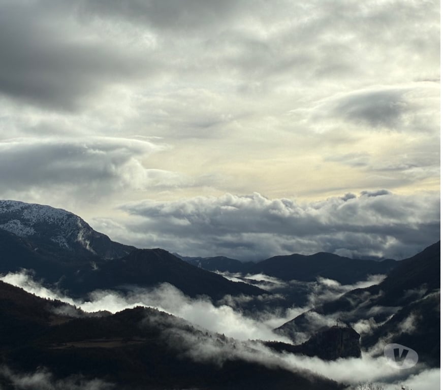 Aides à domicile Alpes-Maritimes Cannes - 06400 - Photos Vivastreet Aide à domicile Accompagnement personnes âgées