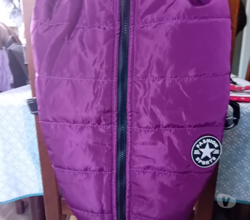 Services, accessoires animaux Nord Villeneuve d'Ascq - Photos Vivastreet Manteau de petit chien AVEC HARNAIS