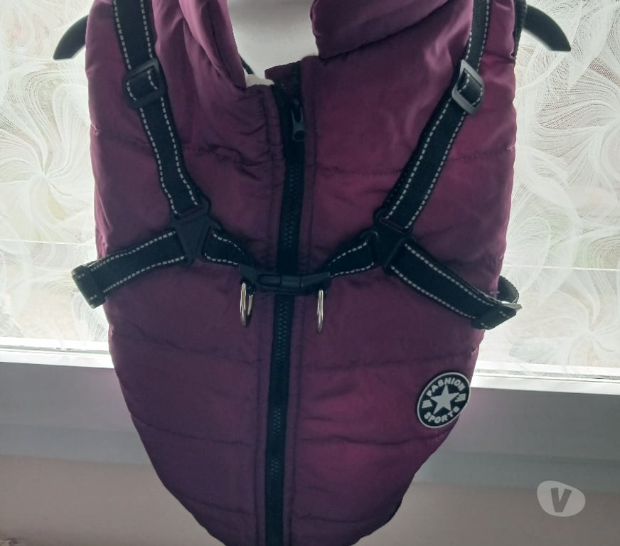 Services, accessoires animaux Nord Villeneuve d'Ascq - Photos Vivastreet Manteau de petit chien AVEC HARNAIS
