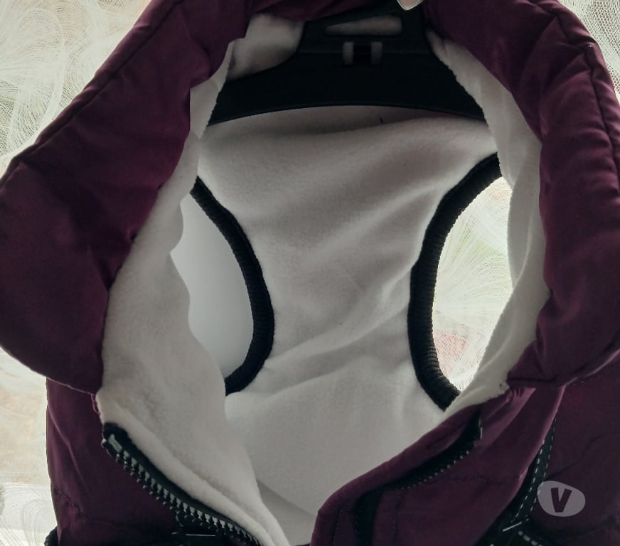 Services, accessoires animaux Nord Villeneuve d'Ascq - Photos Vivastreet Manteau de petit chien AVEC HARNAIS