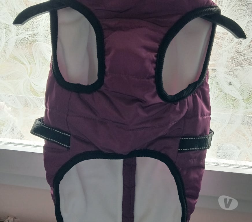 Services, accessoires animaux Nord Villeneuve d'Ascq - Photos Vivastreet Manteau de petit chien AVEC HARNAIS
