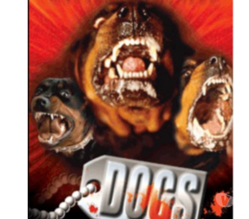 DVD occasion Var Frejus - 83600 - Photos Vivastreet Dvd film divers