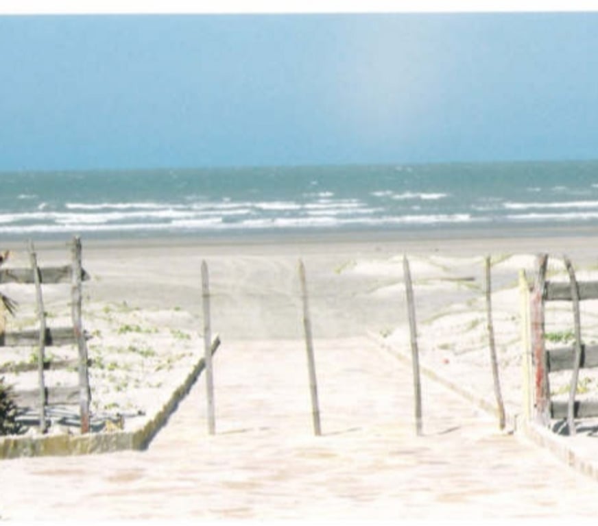 Terrain à vendre Brésil - Photos Vivastreet TERRAIN DE 17 HA DE LA PLAGE A LA ROUTE PRINCIPALE